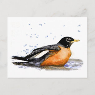 Robin Bathing Briefkaart
