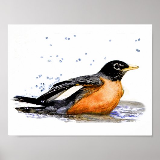 Robin Bathing Poster (Voorkant)