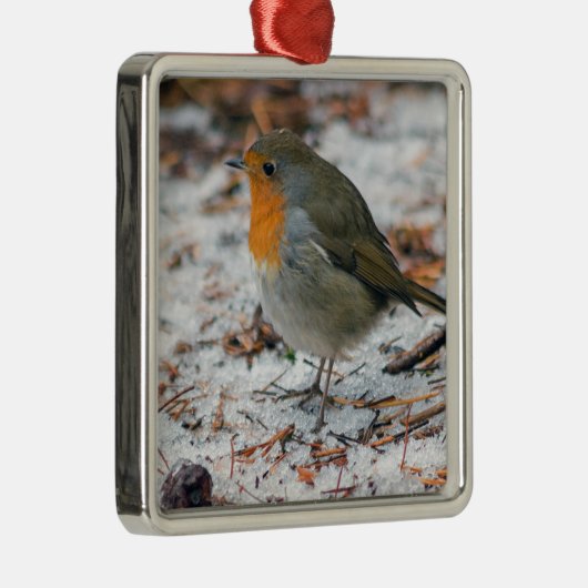 Robin Bauble Metalen Ornament (Rechts)