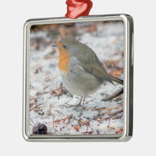 Robin Bauble Metalen Ornament (Links)