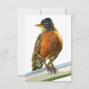 Robin Bedankkaart