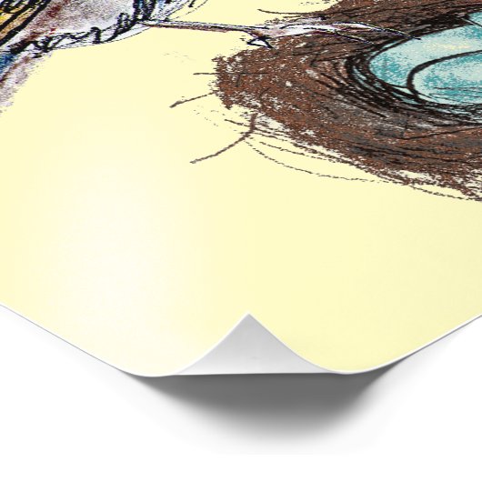 Robin Bird 8x10 Foto Afdruk (Hoek)