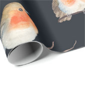 Robin bird and berries rowan at dry filies, zee cadeaupapier (Rol Hoek)