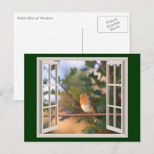 Robin Bird bij Window Feestdagenkaart (Voorkant / Achterkant)