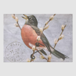 Robin Bird Branch Franse Poststempel Blauwe Decoup Tissuepapier
