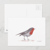 Robin bird briefkaart (Voorkant / Achterkant)