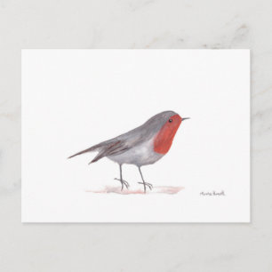 Robin bird briefkaart