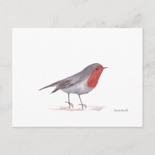 Robin bird briefkaart (Voorkant)