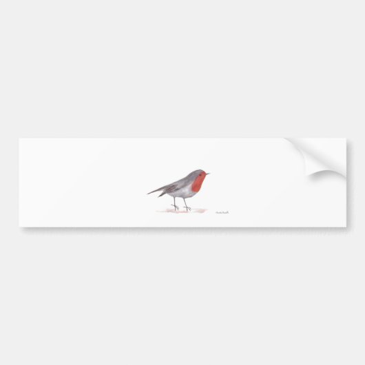 Robin bird bumpersticker (Voorkant)