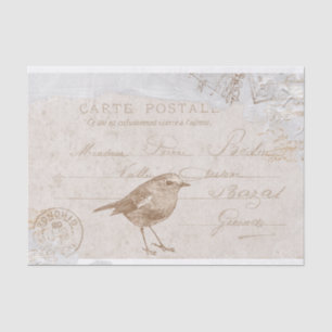 Robin Bird Carte Postale French Decoupage Blue Tissuepapier