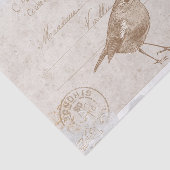 Robin Bird Carte Postale French Decoupage Blue Tissuepapier (Detail)