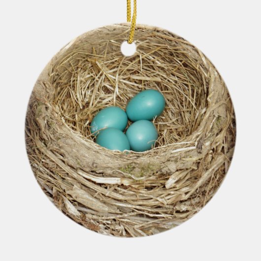 Robin Bird Egg Nest Keramisch Ornament (Voorkant)