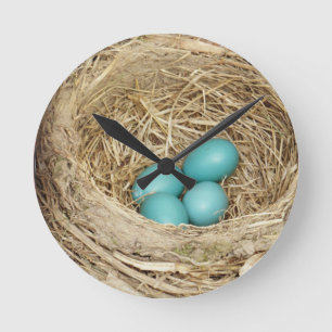 Robin Bird Egg Nest Ronde Klok