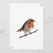 Robin Bird (Erithacus Rubecula) Cadeau Kaart (Voorkant / Achterkant)
