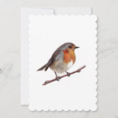 Robin Bird (Erithacus Rubecula) Cadeau Kaart (Voorkant)