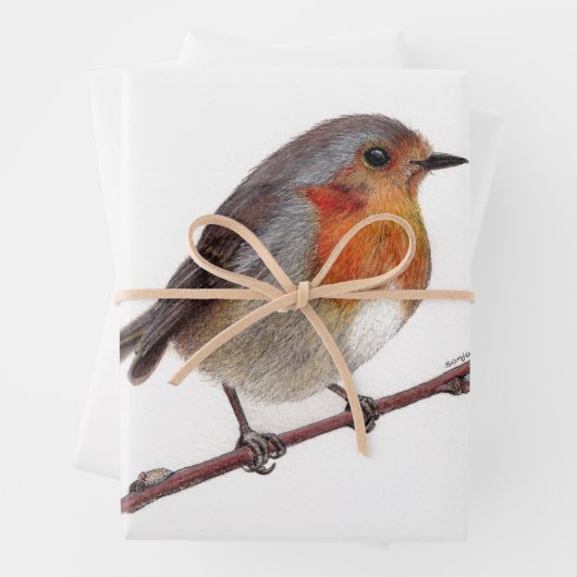 Robin Bird (Erithacus rubecula) inpakpapier (In situ)