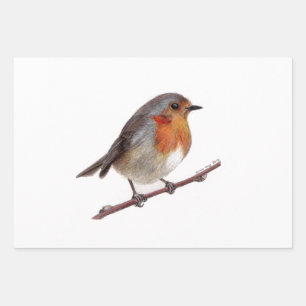 Robin Bird (Erithacus rubecula) inpakpapier