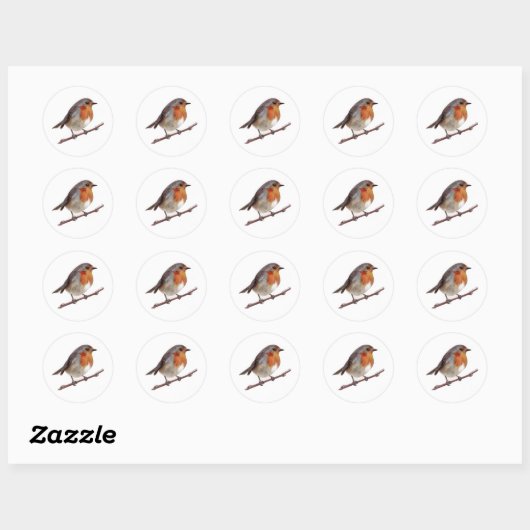 Robin Bird (Erithacus rubecula) Sticker (Vel)