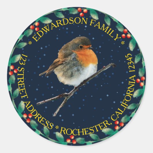Robin bird Familienaam kerstman terugkeeradres Ronde Sticker (Voorkant)