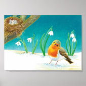 Robin Bird, illustratie sneeuw en sneeuwval Poster (Voorkant)