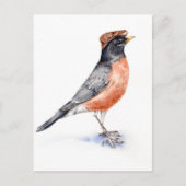 Robin Bird in Pet Briefkaart (Voorkant)