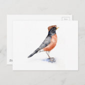 Robin Bird in Pet Briefkaart (Voorkant / Achterkant)