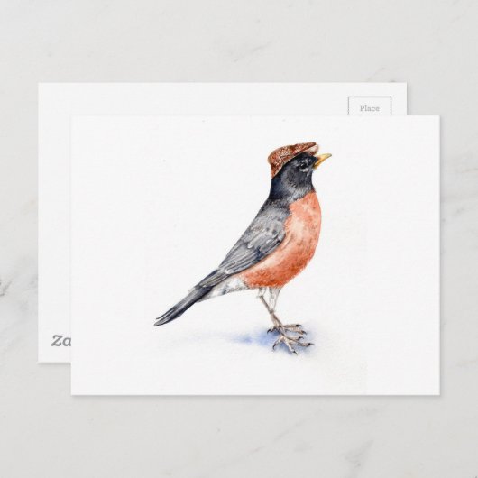 Robin Bird in Pet Briefkaart (Voorkant / Achterkant)