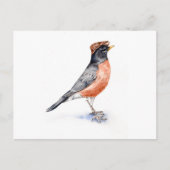 Robin Bird in Pet Briefkaart (Voorkant)
