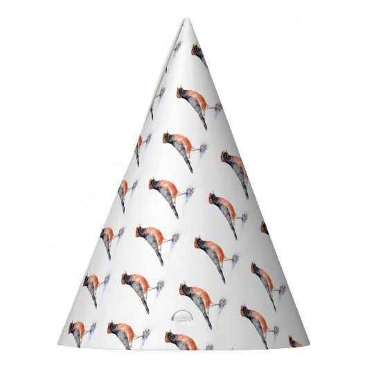 Robin Bird in Pet Feesthoedjes (Links)