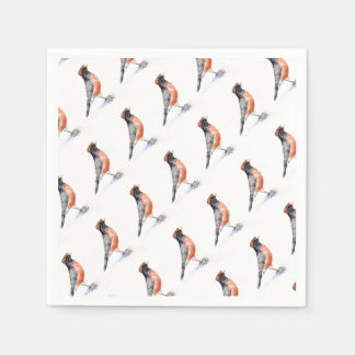 Robin Bird in Pet Servet