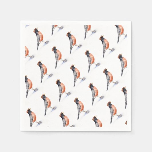 Robin Bird in Pet Servet (Voorkant)