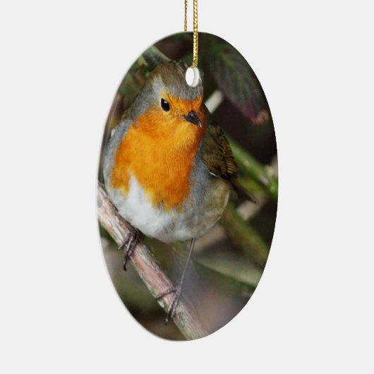 Robin Bird in Tree Keramisch Ornament (Rechts)