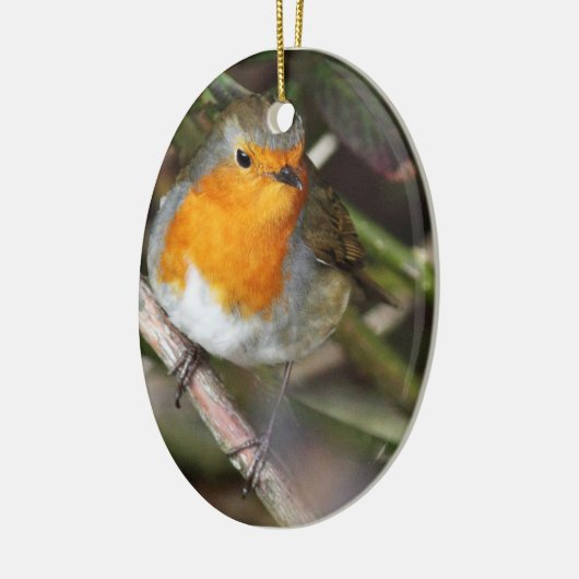 Robin Bird in Tree Keramisch Ornament (Links)