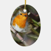 Robin Bird in Tree Keramisch Ornament (Voorkant)