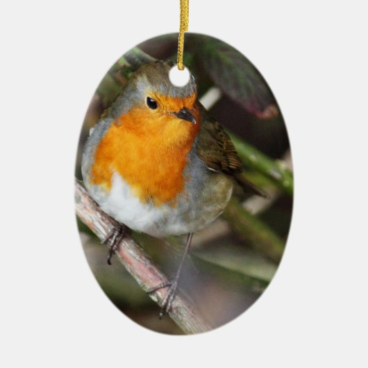 Robin Bird in Tree Keramisch Ornament (Voorkant)