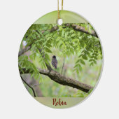 Robin Bird in Tree Keramisch Ornament (Links)