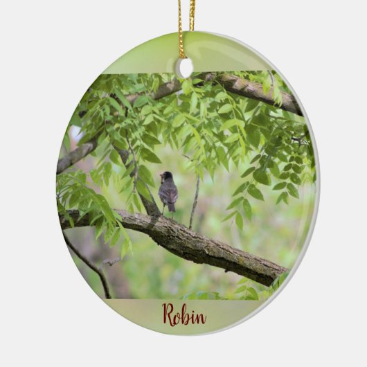 Robin Bird in Tree Keramisch Ornament (Links)