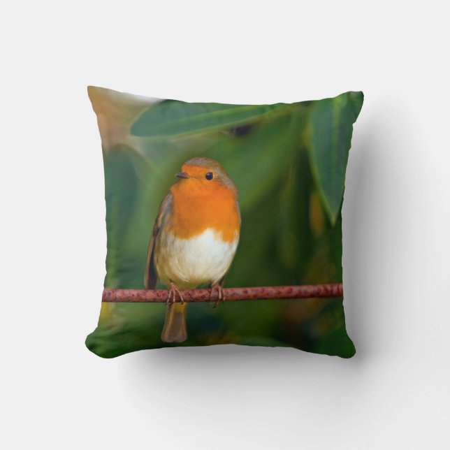 Robin bird kussen (Voorkant)