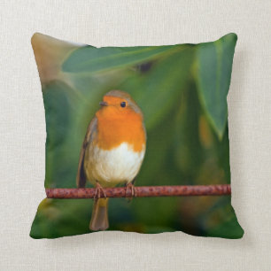 Robin bird kussen