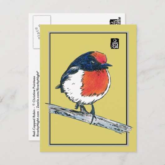 Robin Bird met rode lampjes Briefkaart (Voorkant / Achterkant)
