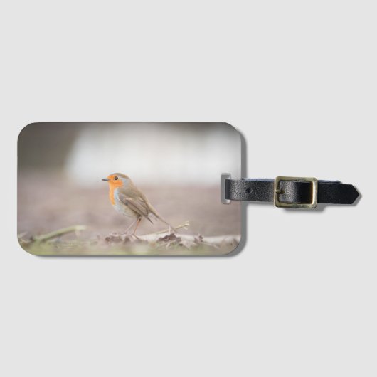 Robin Bird Natuur Foto Bagagelabel (Voorkant (horizontaal))