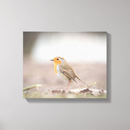 Robin Bird Natuur Foto Canvas Afdruk