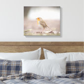 Robin Bird Natuur Foto Canvas Afdruk (Insitu (Slaapkamer))