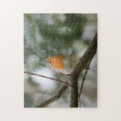 Robin Bird Natuur Foto Jigzaag Puzzle Legpuzzel (Verticaal)
