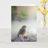 Robin Bird Natuur Foto Kaart (Gele Bloem)