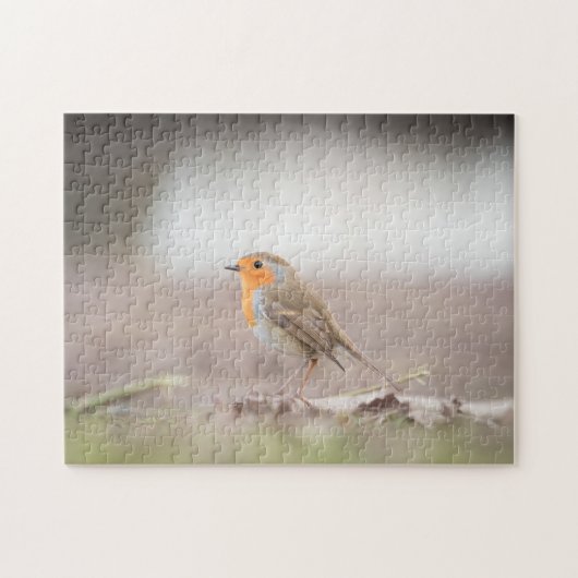 Robin Bird Natuur Foto Legpuzzel (Horizontaal)