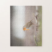Robin Bird Natuur Foto Legpuzzel (Verticaal)