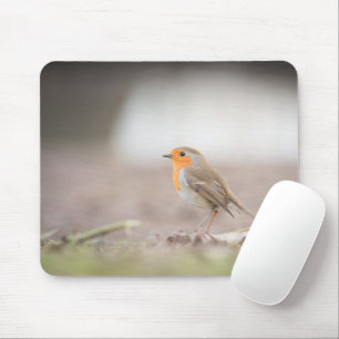 Robin Bird Natuur Foto Muismat
