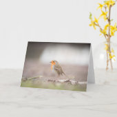 Robin Bird Natuur Fotokaart Kaart (Gele Bloem)