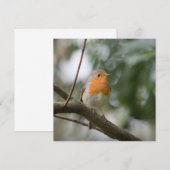 Robin Bird Natuur Photo Card (Voorkant / Achterkant)